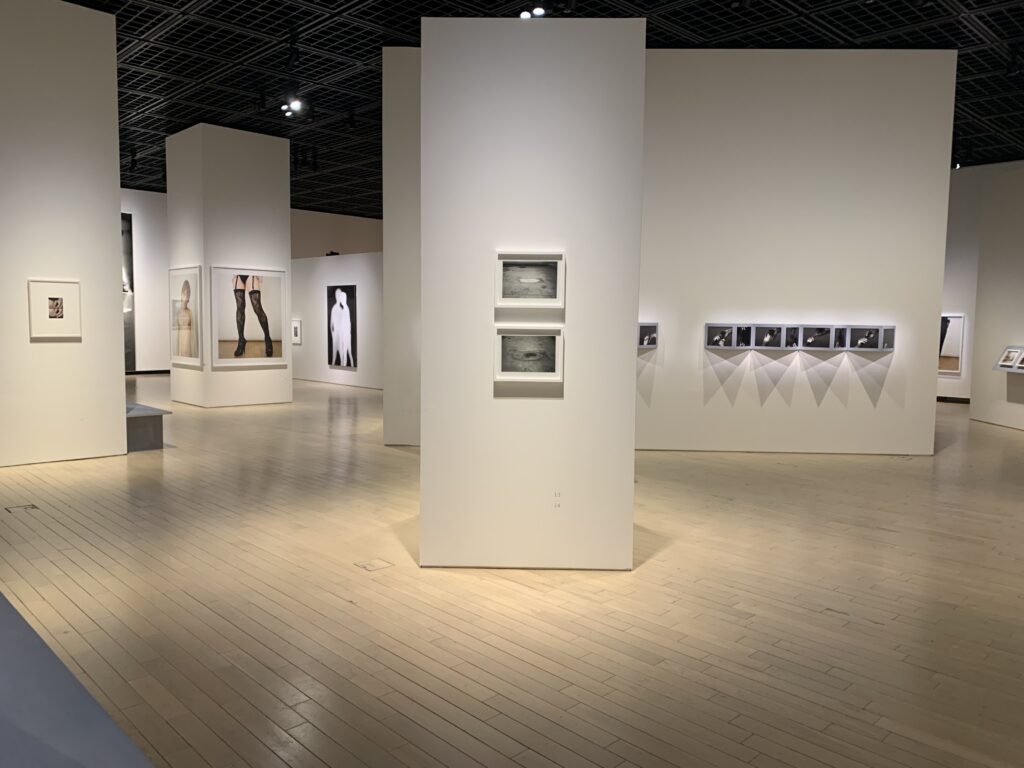 鷹野隆大 作品