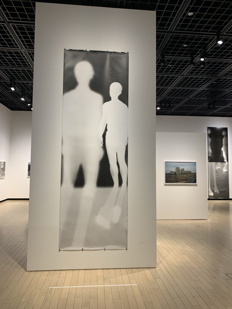 鷹野隆大 作品