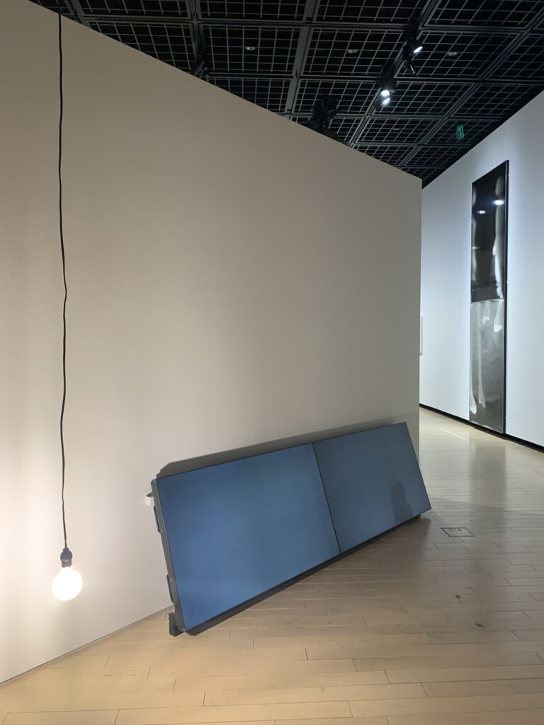 鷹野隆大 作品