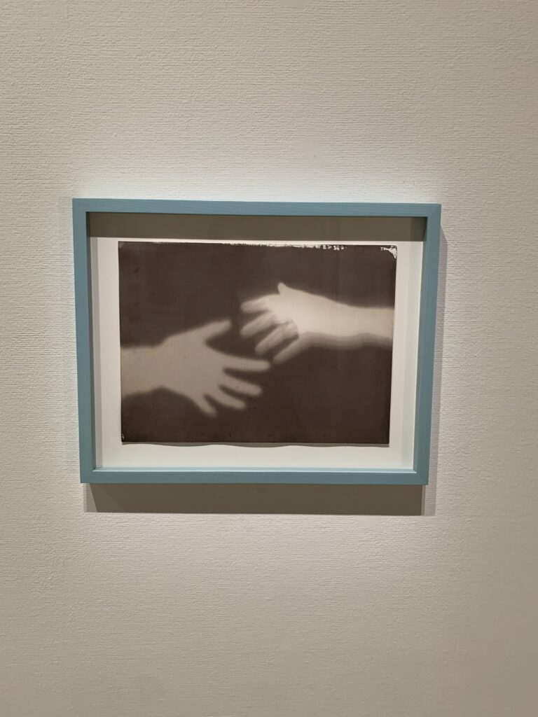 鷹野隆大 作品