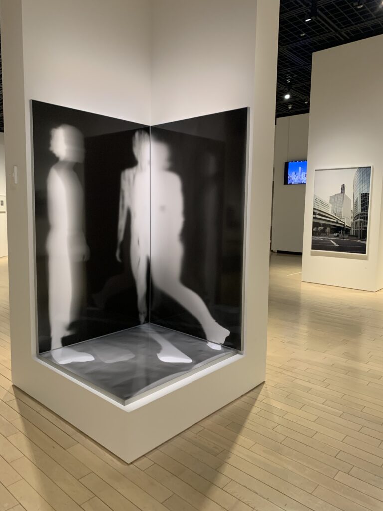 鷹野隆大 作品