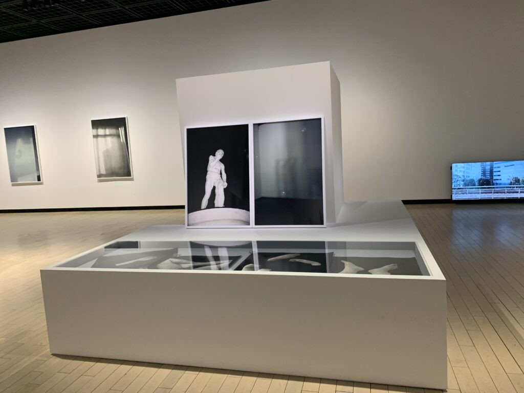 鷹野隆大 作品