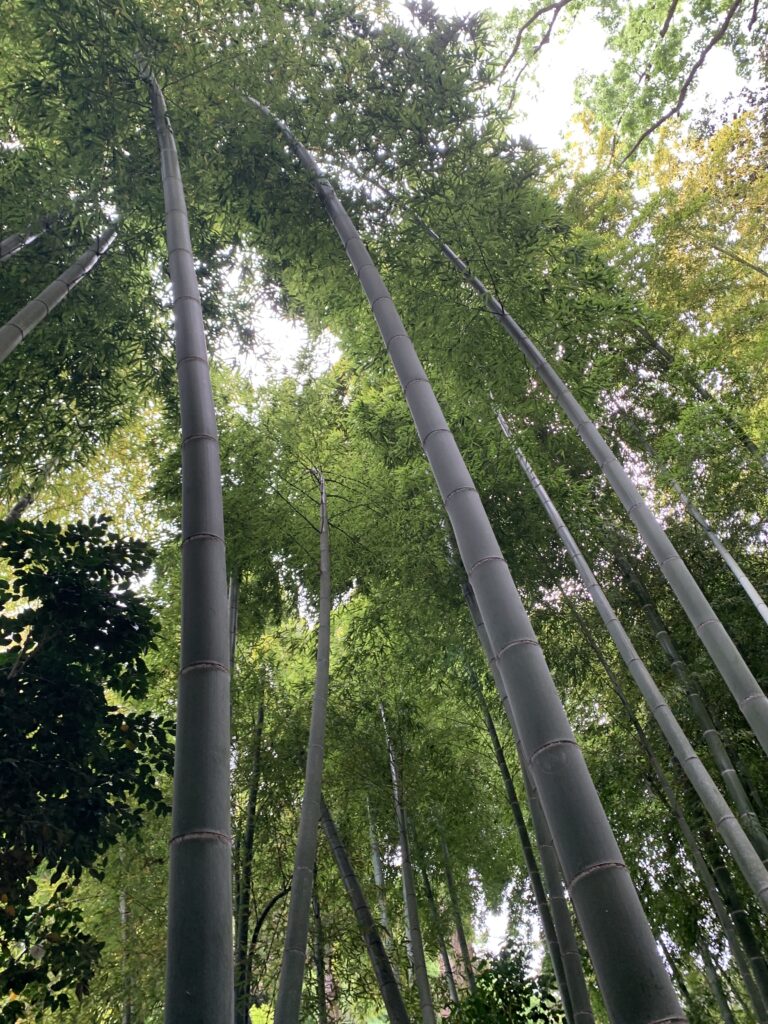 浄智寺