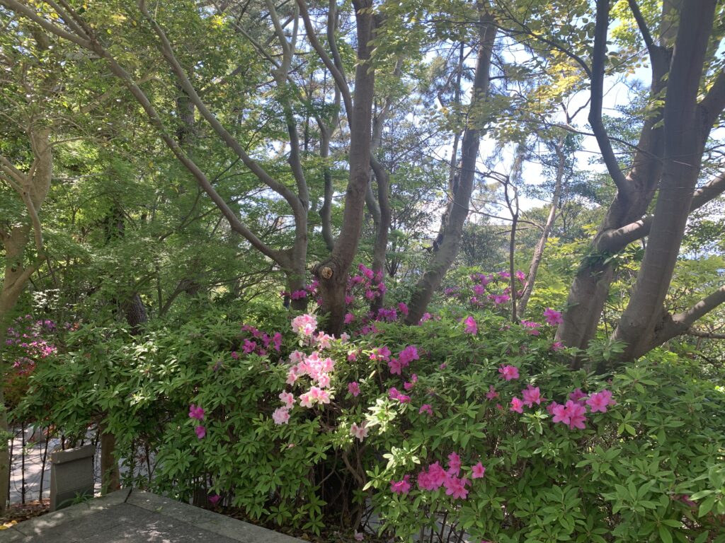 茅ヶ崎市美術館 前庭