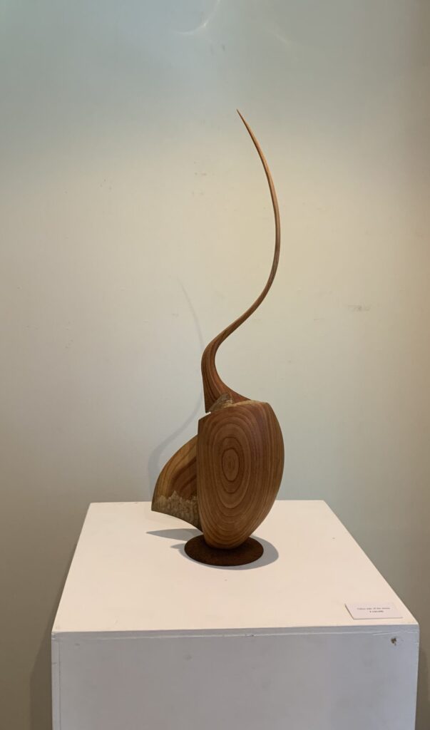 香取宏幸 作品
