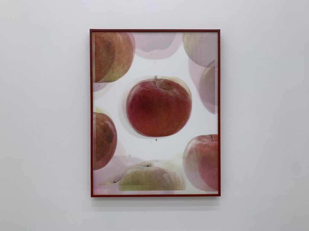 マキギャラリー